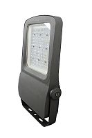 Светильник светодиодный (прожектор) Alfresco ДБУ-01-AF-50Вт 220В 50Вт 5500К IP65 картинка 